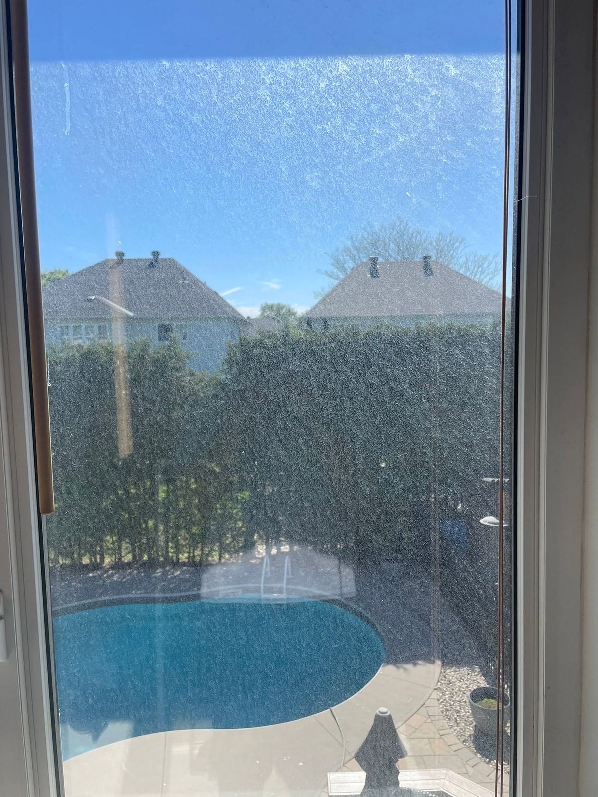 Hazy window overlooking a backyard pool before cleaning